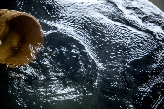 Dog SPA Garden≪2床房型・附狗跑區≫