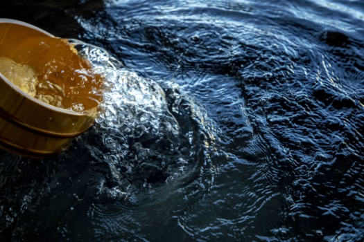 Dog SPA Suite ＜3床房型・附狗跑區＞