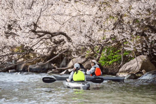 ❀春のグループ旅行応援❀ お日にち限定！最大6,000円OFF♪～仲間や家族と✨湖に浮かぶ絶景・天然温泉・多彩なアクティビティを楽しむ非日常体験を～【自由に選べるお食事】