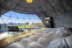 Dog SPA Suite ＜3床房型・附狗跑區＞