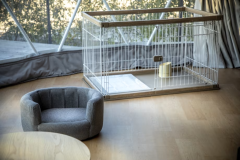 Dog SPA Suite ＜3床房型・附狗跑區＞