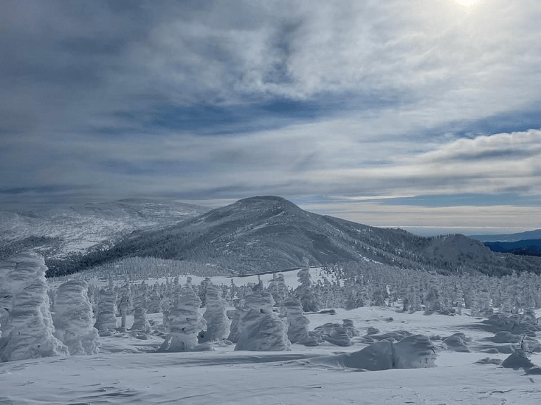 ＜冬季限定＞みやぎ蔵王樹氷めぐり＋仙台牛ステーキde冬のみやぎ蔵王満喫プラン