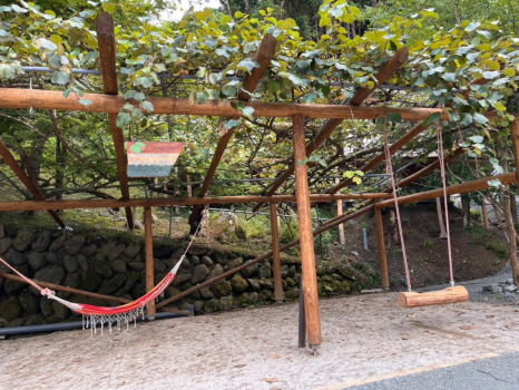 🍲【もつ鍋プラン】【手ぶらOK×持ち込みOK】 森に囲まれた癒し空間で楽しむ博多もつ鍋プラン　　🥤ソフトドリンク飲み放題付き！