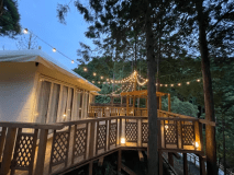 ～樹～画僧画像①