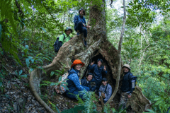 やんばるの秘境にあるオキナワウラジロガシの大木を目指す！大自然を満喫できる