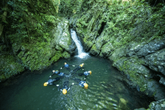 やんばるの森にある秘境！天然のプールを泳いでみよう