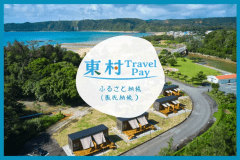 ふるさと納税（旅先納税）で寄付して泊まることができる専用プランです。