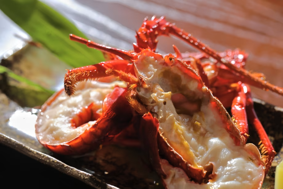 【期間限定】今が旬★房州海老付★4,000円お得!基本懐石プラン (夕朝食・お部屋食) 【期間限定】今が旬★房州海老付★4,000円お得!基本懐石プラン (夕朝食・お部屋食)