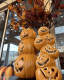 ハロウィンは家族みんなで秋グラへ！キーワードラリーやイベントで思い出作り♪【館内利用券付】