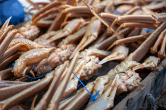 【冬】《タグ付活松葉蟹をお一人様1杯使用》少量希望の方おすすめ◆調理方法はお好みで～地蟹味わいプラン