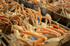 【冬】贅沢【タグ付き活松葉蟹を一人2杯使用】◆調理方法はお好みで◆～活松葉蟹わがままプラン～