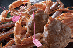 これぞ松葉蟹！これぞ番ガニ！