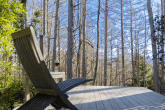 【愛犬同伴可能】ドッグテラスルーム