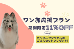 【ワン旅応援プラン】╲11%OFF╱ 愛犬と一緒に楽しむ特別ステイ！犬用ごはんプレゼント付き🐾《夕食付》