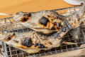 【1泊2食】《プレミアムプラン》シェフがご提供！ 採れたて野菜と厳選食材の愉しむ贅沢フルサービスディナー＆爽やかな朝を彩る特製モーニング付きプラン