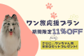 【ワン旅応援プラン】╲11%OFF╱ 愛犬と一緒に楽しむ特別ステイ！犬用BBQプレゼント付き🐾