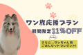 【ワン旅応援プラン】╲11%OFF╱ 愛犬と一緒に楽しむ特別ステイ！犬用ごはんプレゼント付き🐾《夕食付》