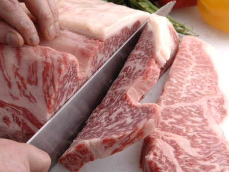 お肉イメージ