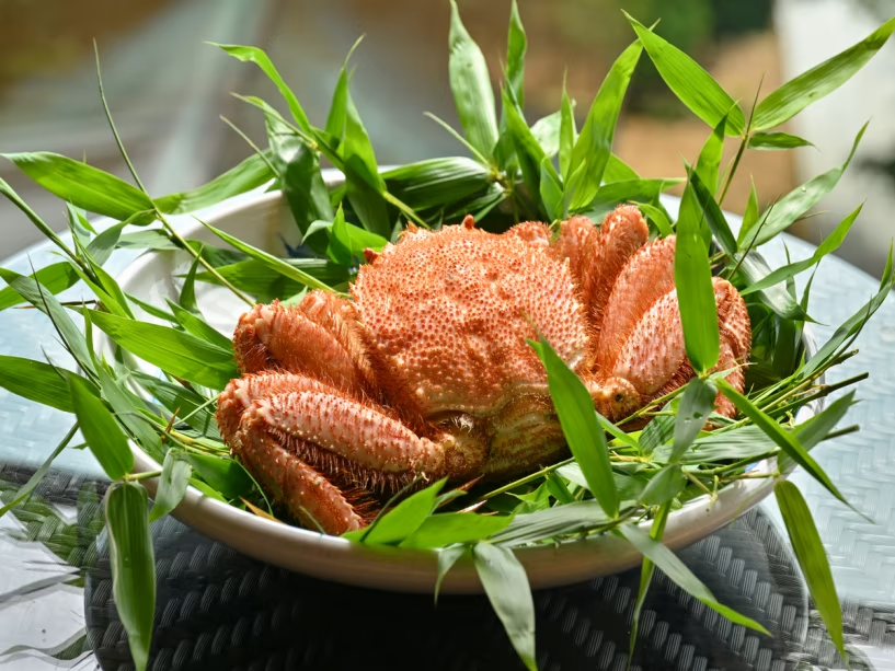 【初夏の美味】心が喜ぶ初夏の味～北陸の希少な地物「毛蟹」と旬の食材を味わう