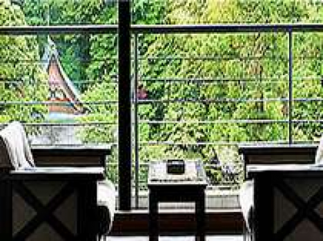 部屋からの緑