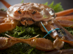【橋立蟹懐石】Hashidate Snow Club kaiseki cuisine Plan