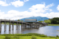 青森県/鶴田町　「鶴の舞橋」　全長300mの日本一長い木造の三連太鼓橋
