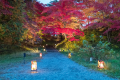 【観光情報】弘前公園（弘前市）　ホテルより車で約25分　紅葉の見ごろ　10月下旬から11月上旬