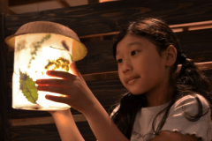 【地域体験】アクティビティ付プラン！【和牛の膳】やちまたＨＩＫＯコース