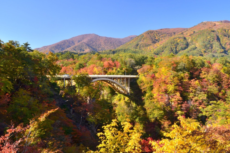 【秋の鳴子峡】断崖絶壁の上から見るV字峡谷の紅葉はまさに絶景。