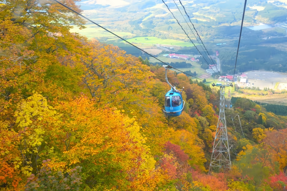 テレキャビンで行く「紅葉の空中散歩」