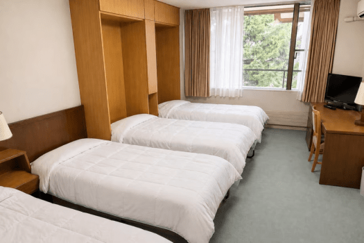 【山荘B】《わんちゃんと一緒に泊まれる》洋室（定員：２～４名）※3～４名様でご利用の場合、収納式（跳ね上げ式）ベッドを追加でご用意いたします。