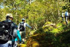 禿岳を見渡す当館は、登山やトレッキングの拠点として最適 禿岳を見渡す当館は、登山やトレッキングの拠点として最適