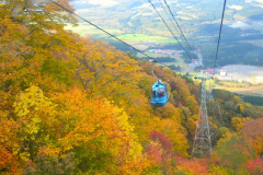 テレキャビンで行く「紅葉の空中散歩」 テレキャビンで行く「紅葉の空中散歩」