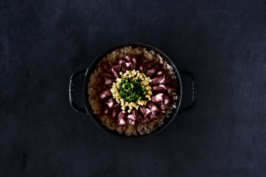 【フレンチ cadre】春の味覚と北陸の旬を愉しむイノベーティブコース＜春季限定＞