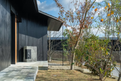 カウンター席（ランチ）