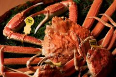 【日本料理 えん】越前蟹と旬の幸会席<冬季限定> 【日本料理 えん】越前蟹と旬の幸会席<冬季限定>