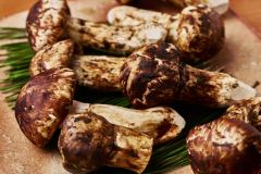 【日本料理 えん】松茸と北陸の旬会席<秋季限定> 【日本料理 えん】松茸と北陸の旬会席<秋季限定>