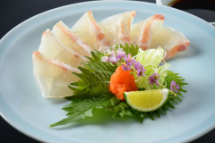 夕食一例｜鯛の薄造り（チョイス料理①）