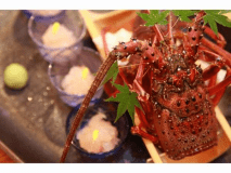 伊勢海老お造り