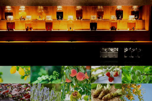 【富士壮観&times;乗馬アクティビティ】最上階絶景客室＋選べる乗馬30分/1時間（1泊2食・1人料金）