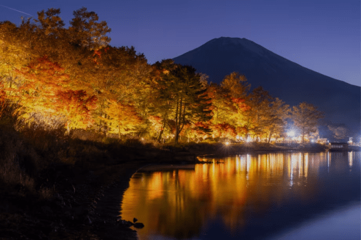 【山中湖草庵&times;クルーザーアクティビティ】茶室付き客室＋Malibu貸切（〜10月末／1泊2食・1人料金）