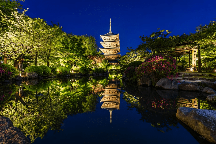 【数量限定】初夏の京都で癒しのひととき！東寺 新緑ライトアップ入場チケット付きプラン ～KYOTO PLEASANT HOTEL～