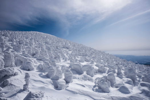 【Pre-paid Card Only】Reserve Popular Winter Stays Early! Winter Limited Plan★Room Only