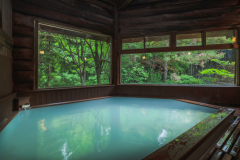 【基本プラン☆素泊まり】蔵王温泉リーズナブルステイ!7箇所の湯めぐり無料特典♪ご夕食は温泉街へ 【基本プラン☆素泊まり】蔵王温泉リーズナブルステイ!7箇所の湯めぐり無料特典♪ご夕食は温泉街へ