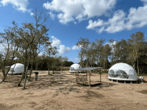 ★2026年3月11日グランピング増設★
★東北最大級のグランピングエリア★