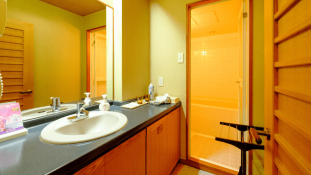 Japanese-style room (12 tatami mats) (washroom + unit bath)