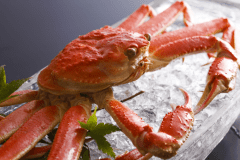 紅ズワイガニ