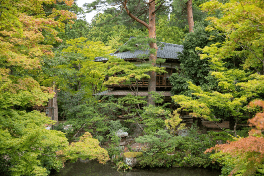 一戸建て離れ・文化財ステイ（キッチン付／食事なし）