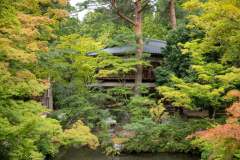 一戸建て離れ・文化財ステイ（キッチン付／食事なし）
