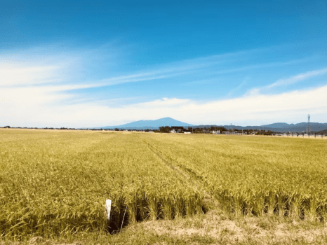 ［一般の方はこちら］庄内浜柔らか御膳
